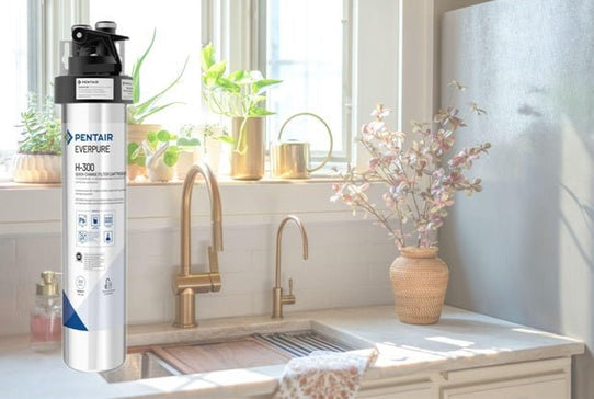 Why the Everpure H 300 Is the Perfect Filtration System for Families - Efilters.net