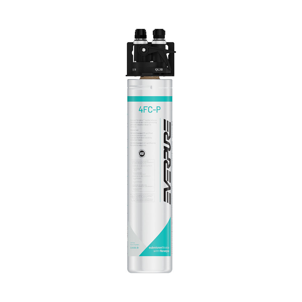 Testa Filtrante Everpure EV9259-24 QL3B - Singola, Con Valvola Integrata, Per Ristorazione E Distributori
