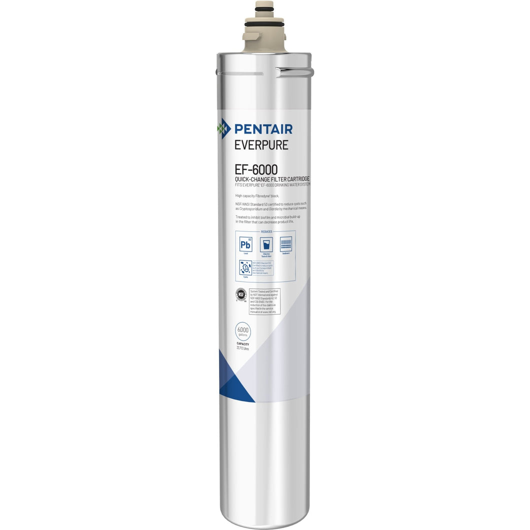 Everpure EF-6000 Drinking Water Cartridge EV9855-56 (6,000 gallons) - Efilters.net
