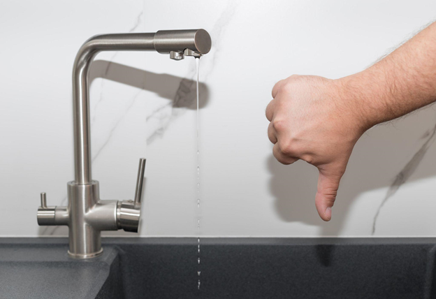 Everpure Water Filter 