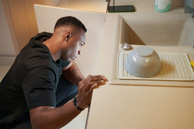 Everpure Water Filter Cartridge