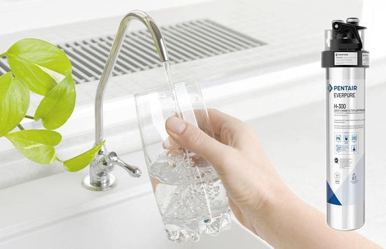 A Closer Look at the Everpure H300 - Efilters.net