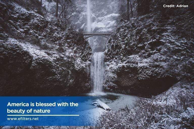 Being Eco-Conscious: Easy ways to waste less water at home - Efilters.net