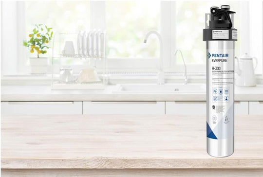 Do You Need Help Finding A Good Water Purifier? - Efilters.net