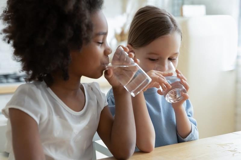 Finding the Best Drinking Water Filter for Your Homes - Efilters.net
