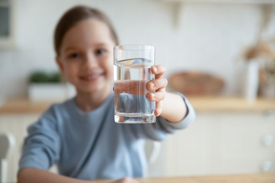 How Everpure Water Filter Cartridges Work - Efilters.net