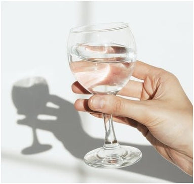 The Everpure H1200: Combating MtBE in Drinking Water - Efilters.net