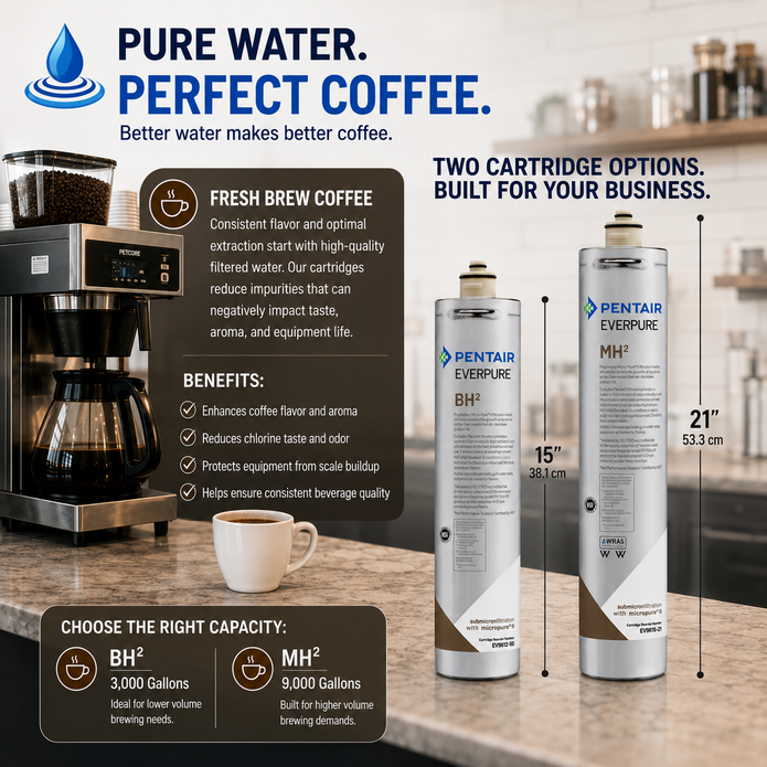 Everpure BH(2) Cartridge EV961251 - 6 pack Water Filtration Cartridge Everpure - eFilters