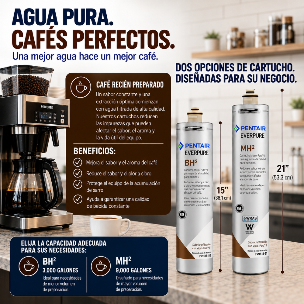 Everpure BH(2) Cartridge EV961251 - 6 pack