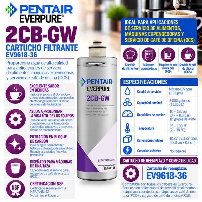 Everpure 2CBGW Cartridge EV961836 Water Filtration Cartridge Everpure - eFilters