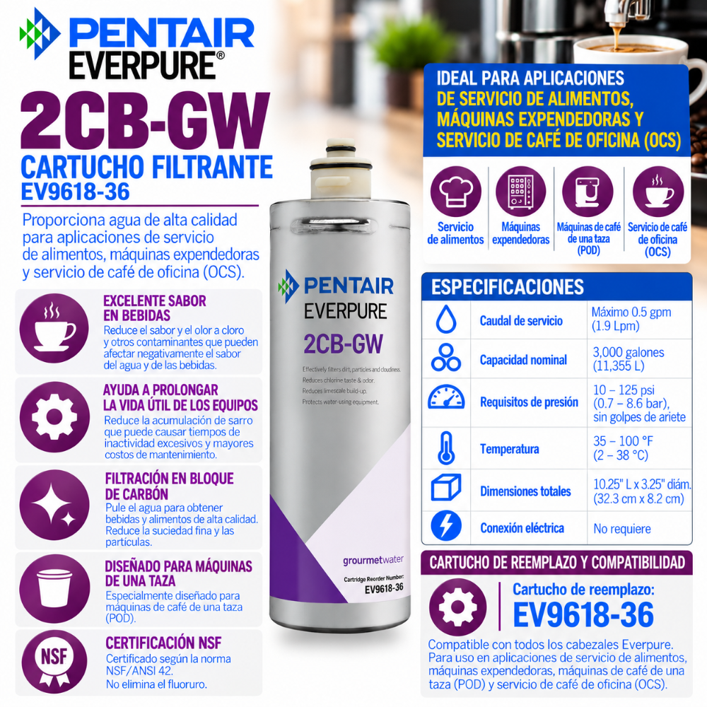 Everpure 2CBGW Cartridge EV961836 Water Filtration Cartridge Everpure - eFilters
