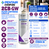 Everpure 2CBGW Cartridge EV961836 Water Filtration Cartridge Everpure - eFilters