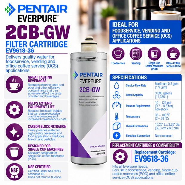 Everpure 2CBGW Cartridge EV961836 Water Filtration Cartridge Everpure - eFilters
