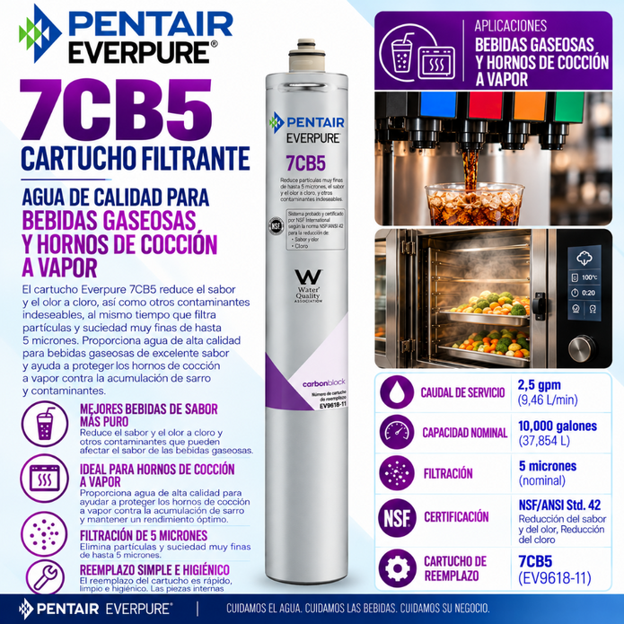 Everpure 7CB5 Water Filter Cartridge EV961816 - 6 Pack Water Filtration Cartridge Everpure - eFilters
