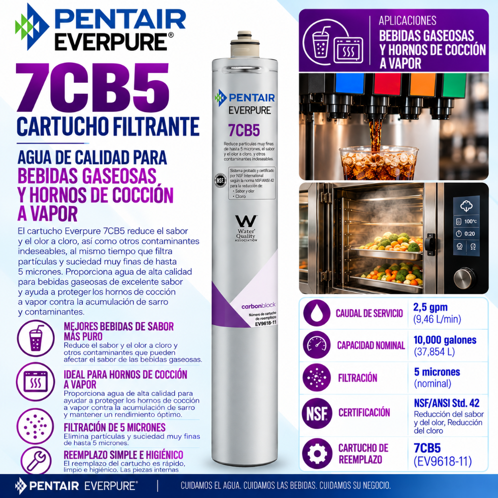 Everpure 7CB5 Water Filter Cartridge EV961816 - 6 Pack Water Filtration Cartridge Everpure - eFilters