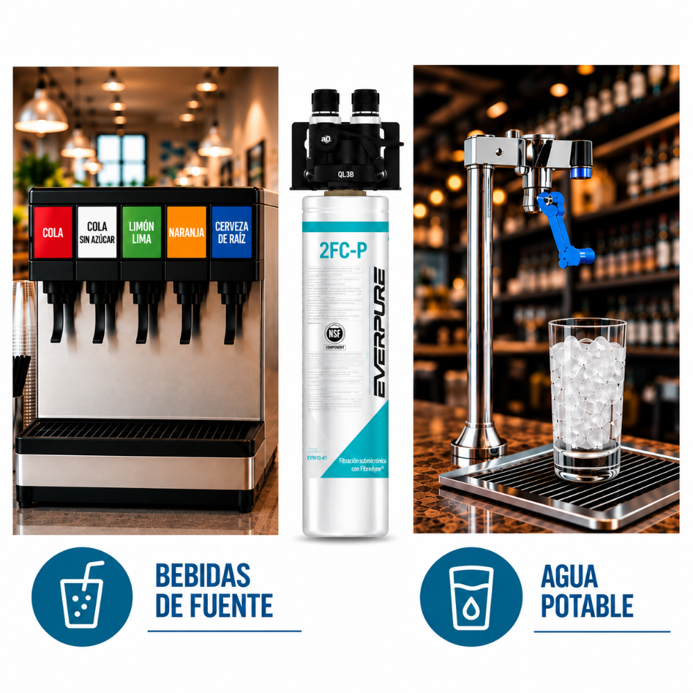 Everpure QL3B-2FCP Water Filter System EV929800 - Forever Chemicals Water Filtration Systems Everpure - eFilters