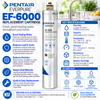 Everpure EF6000 Water Filter Cartridge EV985556 Water Filtration Cartridge Everpure - eFilters