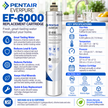 Everpure EF6000 Water Filter Cartridge EV985556 Water Filtration Cartridge Everpure - eFilters