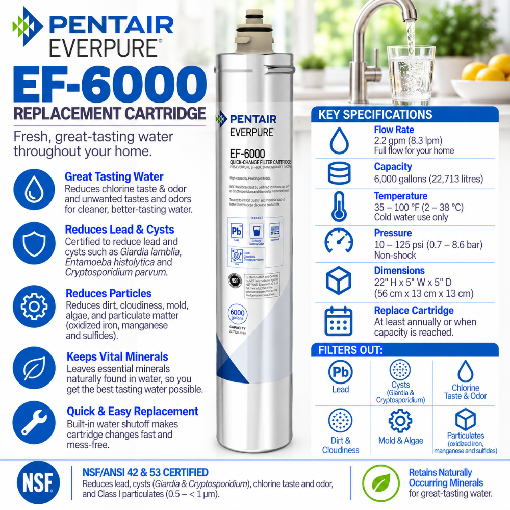 Everpure EF6000 Water Filter Cartridge EV985556 Water Filtration Cartridge Everpure - eFilters