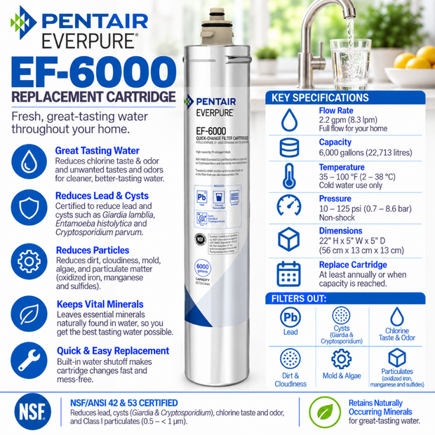 Everpure EF6000 Water Filter Cartridge EV985556 Water Filtration Cartridge Everpure - eFilters