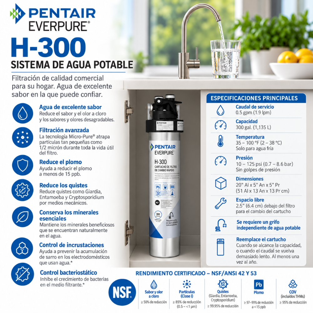 Everpure H300 Water Filtration System EV927076 Water Filtration Systems Everpure - eFilters