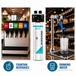 Everpure QL3B-2FCP Water Filter System EV929800 - Forever Chemicals Water Filtration Systems Everpure - eFilters