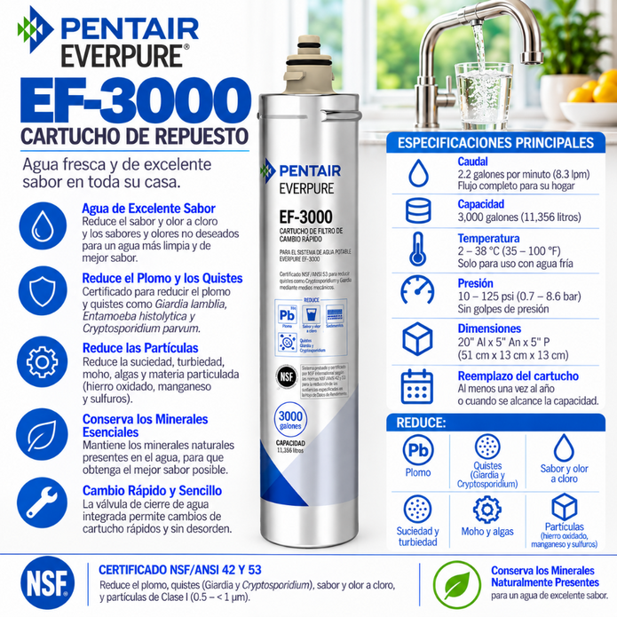 Everpure EF3000 Water Filter Cartridge EV985750 Water Filtration Cartridge Everpure - eFilters