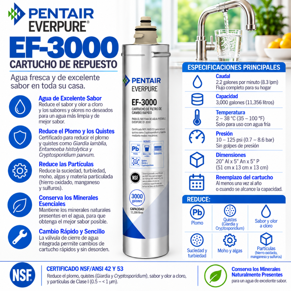 Everpure EF3000 Water Filter Cartridge EV985750 Water Filtration Cartridge Everpure - eFilters