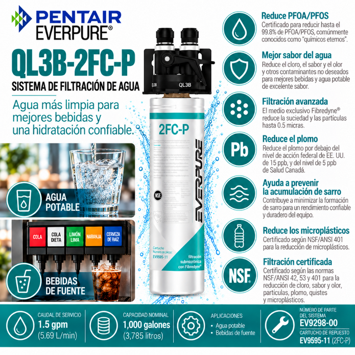 Everpure QL3B-2FCP Water Filter System EV929800 - Forever Chemicals Water Filtration Systems Everpure - eFilters