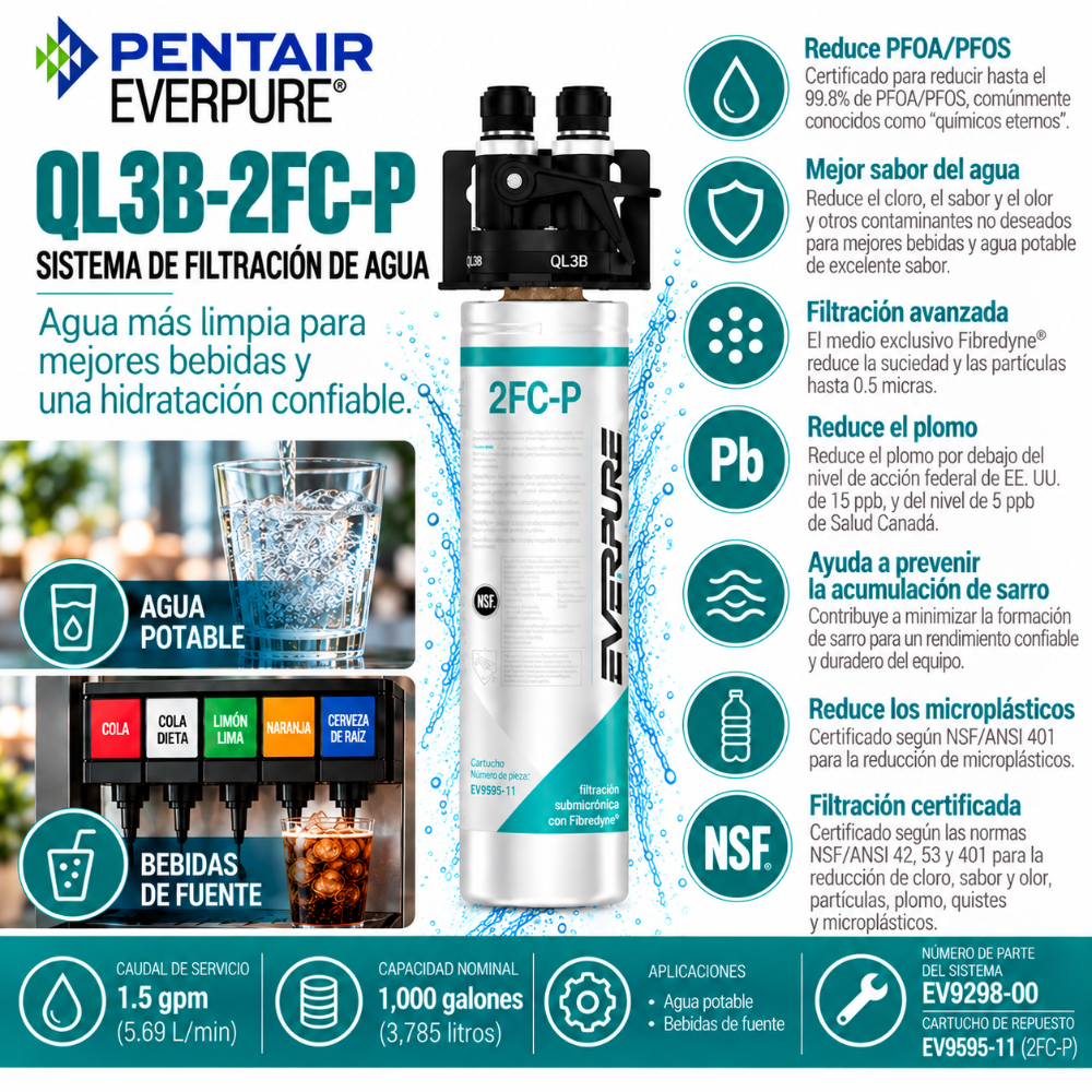 Everpure QL3B-2FCP Water Filter System EV929800 - Forever Chemicals Water Filtration Systems Everpure - eFilters