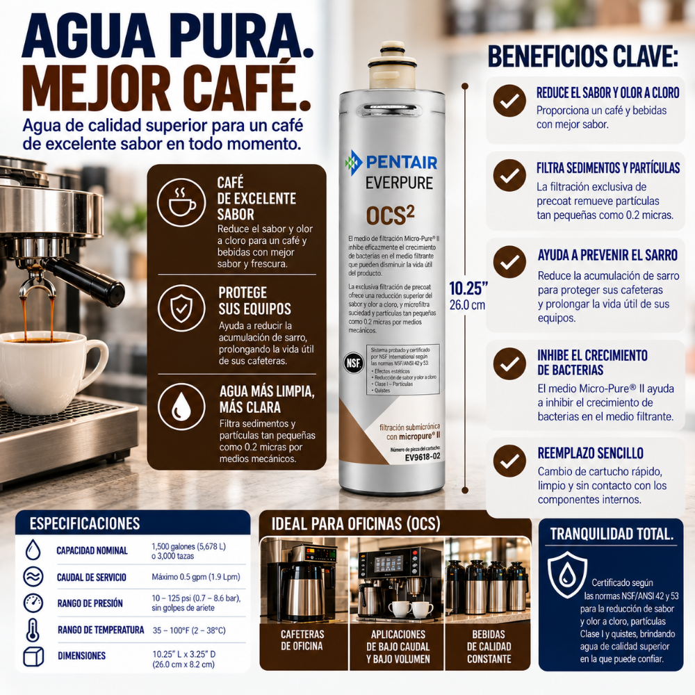 Everpure OCS(2) Water Filter Cartridge EV961807 - 6 pack