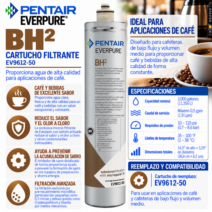 Everpure BH(2) Water Filter Cartridge EV961250 Water Filtration Cartridge Everpure - eFilters