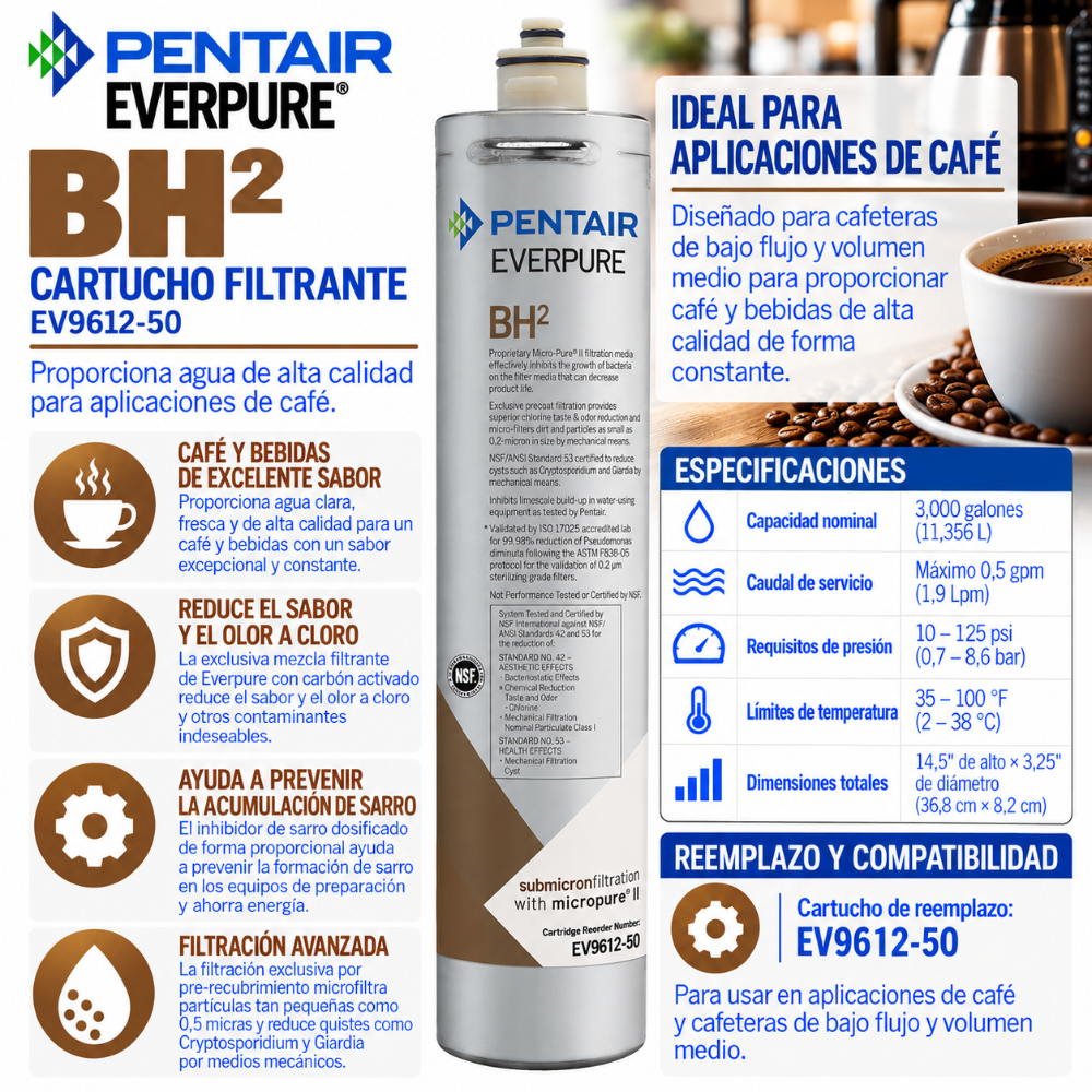 Everpure BH(2) Water Filter Cartridge EV961250 Water Filtration Cartridge Everpure - eFilters