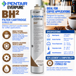 Everpure BH(2) Water Filter Cartridge EV961250 Water Filtration Cartridge Everpure - eFilters
