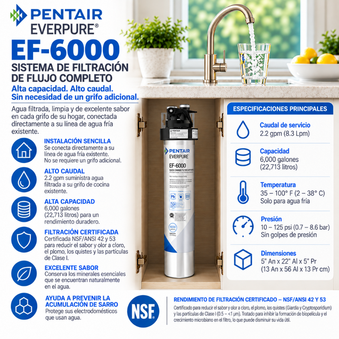 Everpure EF6000 Water Filtration System EV985500 Water Filtration Systems Everpure - eFilters