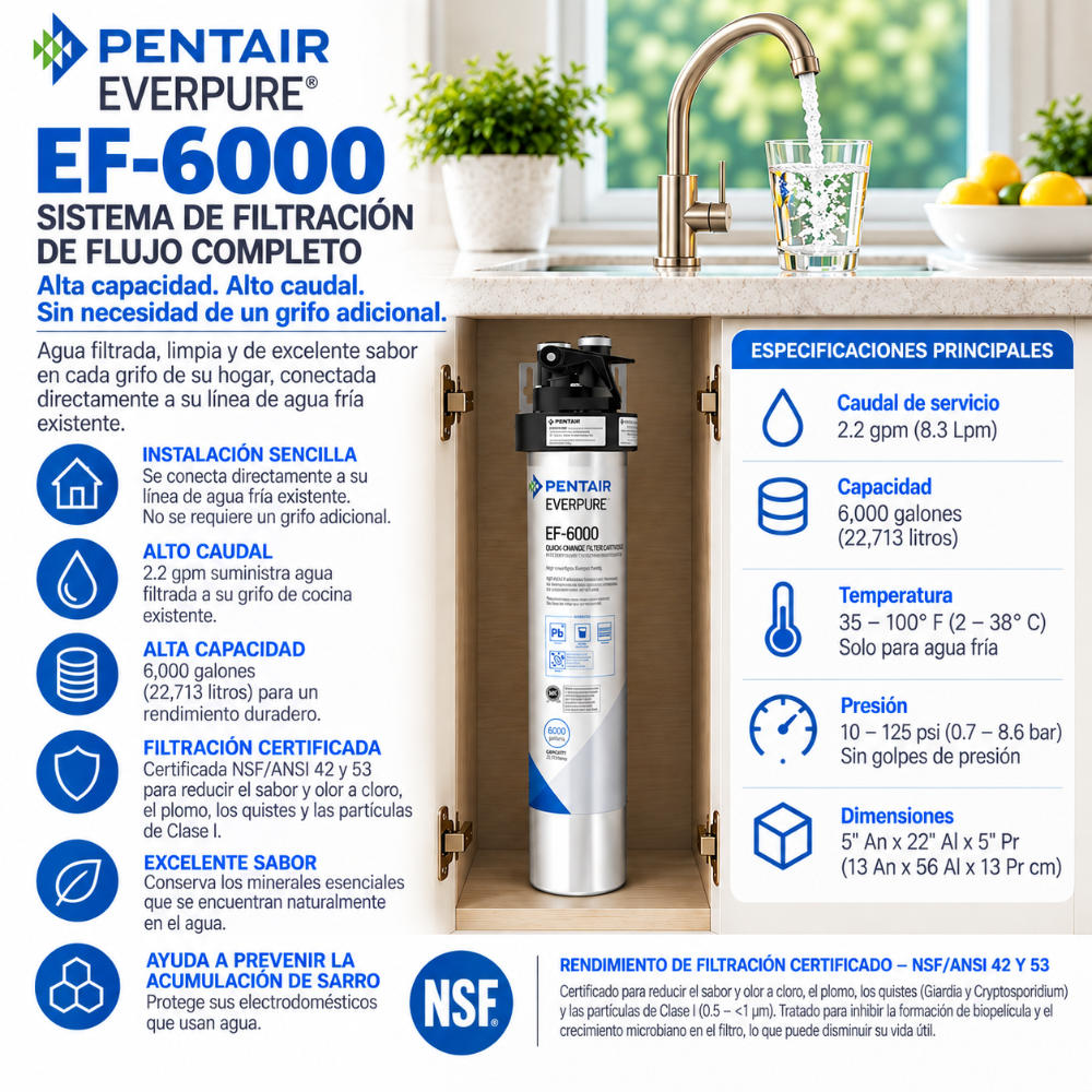 Everpure EF6000 Water Filtration System EV985500 Water Filtration Systems Everpure - eFilters