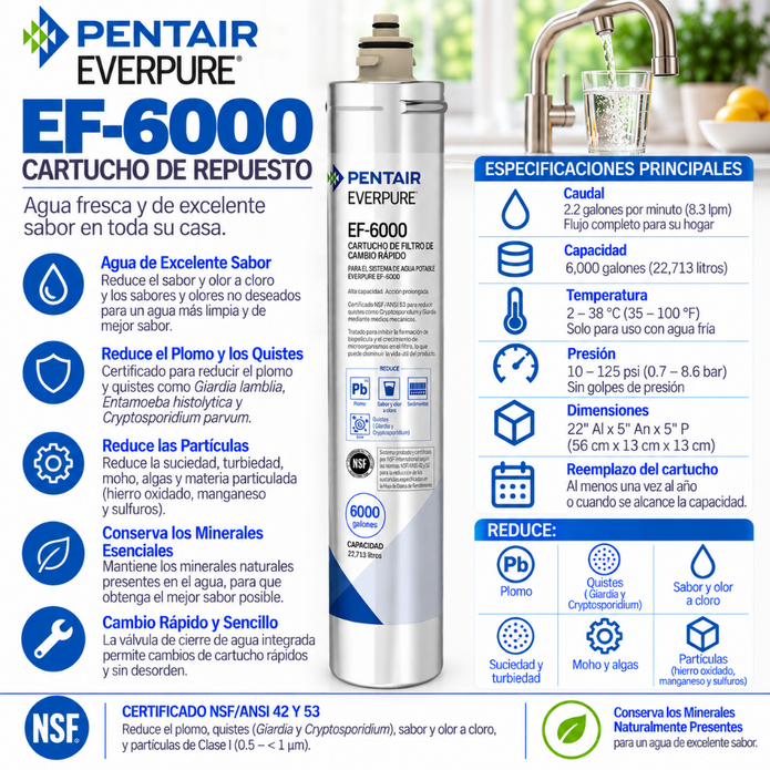 Everpure EF6000 Water Filter Cartridge EV985556 Water Filtration Cartridge Everpure - eFilters