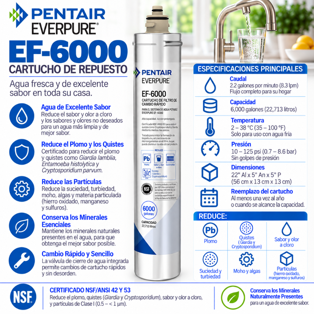 Everpure EF6000 Water Filter Cartridge EV985556 Water Filtration Cartridge Everpure - eFilters