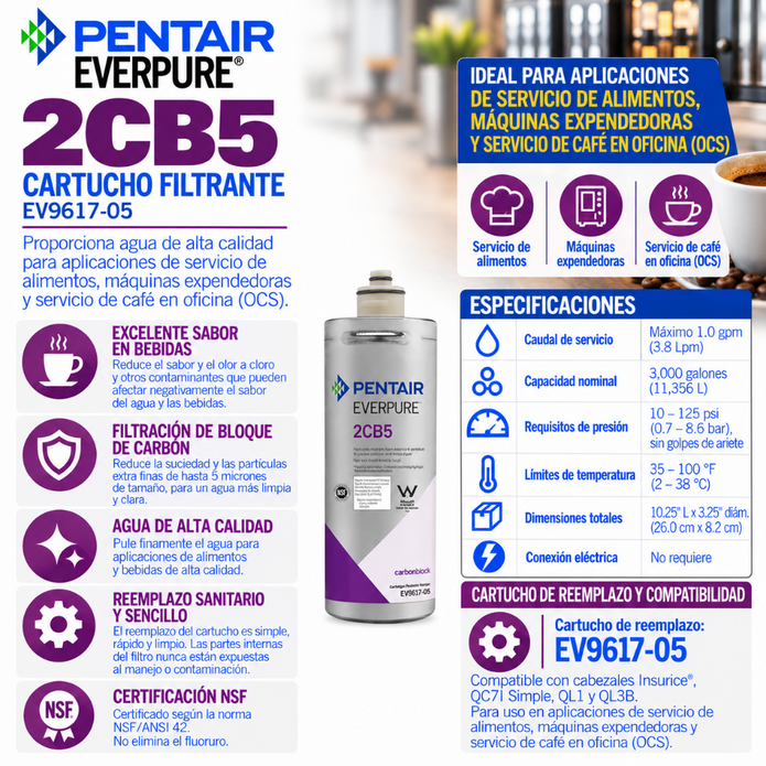 Everpure 2CB5 Cartridge EV961705 Water Filtration Cartridge Everpure - eFilters