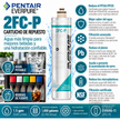 Everpure 2FCP Water Filter Cartridge EV959516 - Forever Chemicals - 6 Pack Water Filtration Cartridge Everpure - eFilters