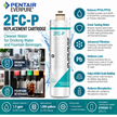 Everpure 2FCP Water Filter Cartridge EV959511 - Forever Chemicals Water Filtration Cartridge Everpure - eFilters
