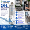 Everpure 2HL Cartridge EV963426 Water Filtration Cartridge Everpure - eFilters