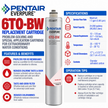 Everpure 6TOBW Water Filter Cartridge EV960746 - 6 Pack Water Filtration Cartridge Everpure - eFilters