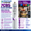 Everpure 7CB5 Water Filter Cartridge EV961816 - 6 Pack Water Filtration Cartridge Everpure - eFilters