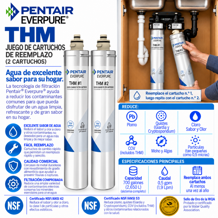 Everpure THM #1 & #2 Replacement Water Filter Cartridge Kit #THMKIT Water Filtration Cartridge Efilters - eFilters