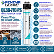 Everpure QL3B-7FCPS Water Filter System EV929850 - Forever Chemicals Water Filtration Systems Everpure - eFilters