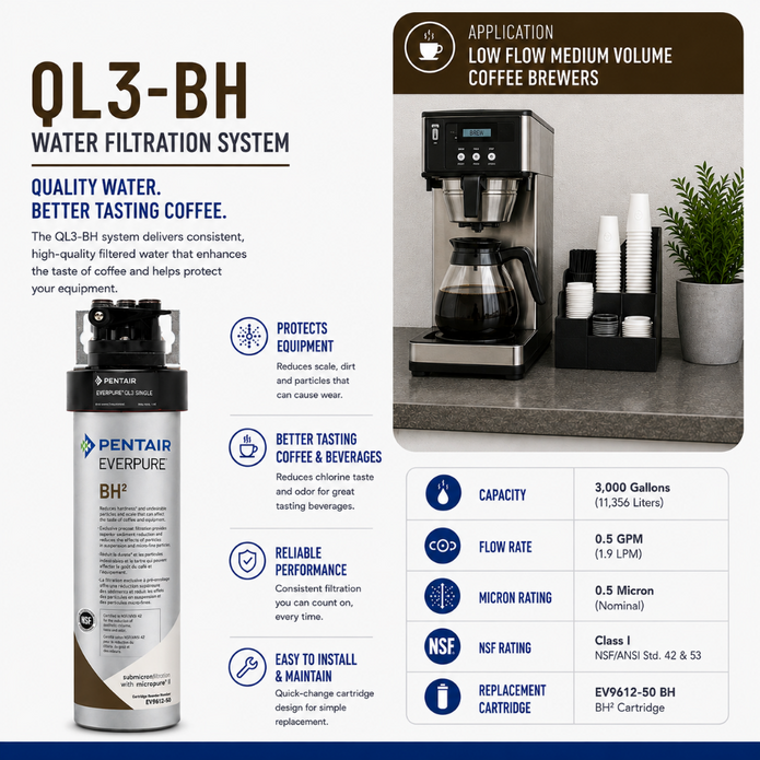 Everpure QL3-BH(2) Water Filter System EV927200 Water Filtration Systems Everpure - eFilters