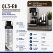 Everpure QL3-BH(2) Water Filter System EV927200 Water Filtration Systems Everpure - eFilters