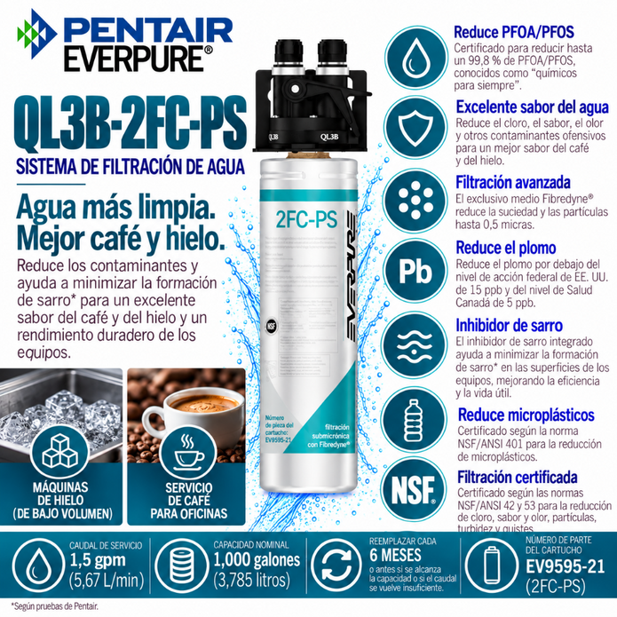 Everpure QL3B-2FCPS Water Filter System EV929810 - Forever Chemicals Water Filtration Systems Everpure - eFilters