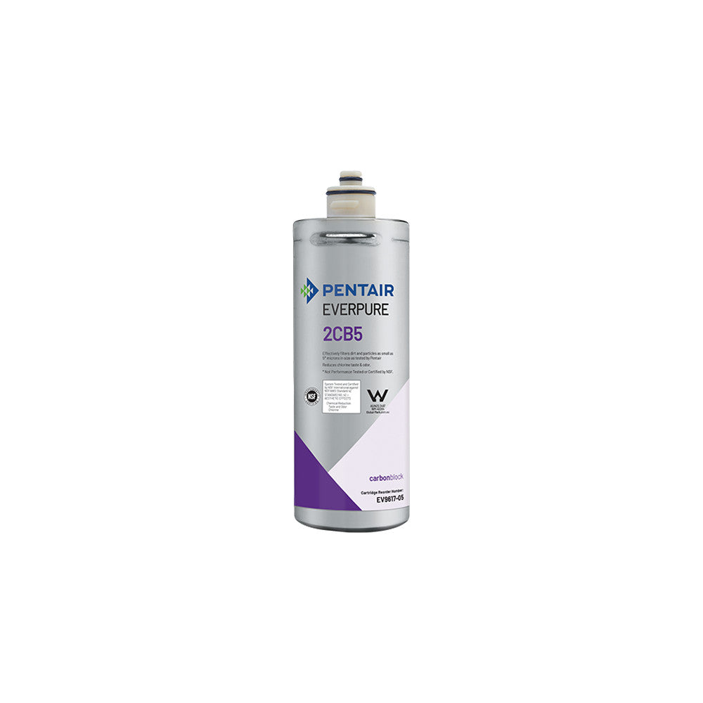 Everpure 2CB5 Cartridge EV961705